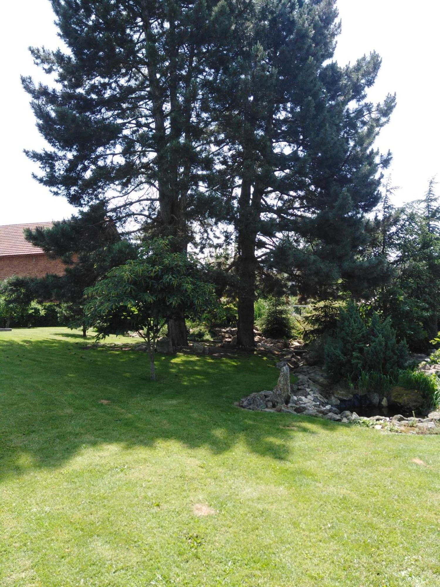Řikovice Prázdninový dům Morasice  Exterior foto